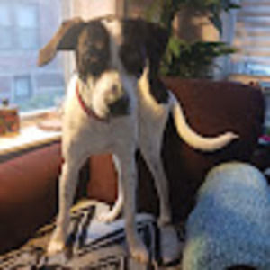 Meet your Posher, Stephen